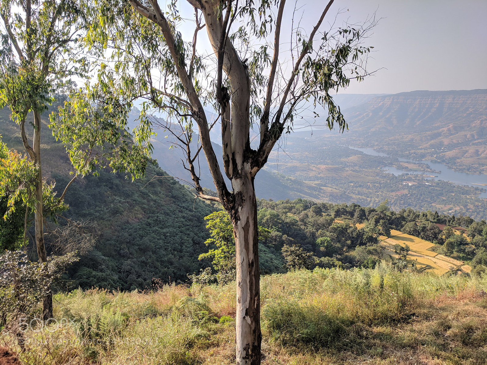Google Pixel XL sample photo. Img_20171109_154116.jpg photography