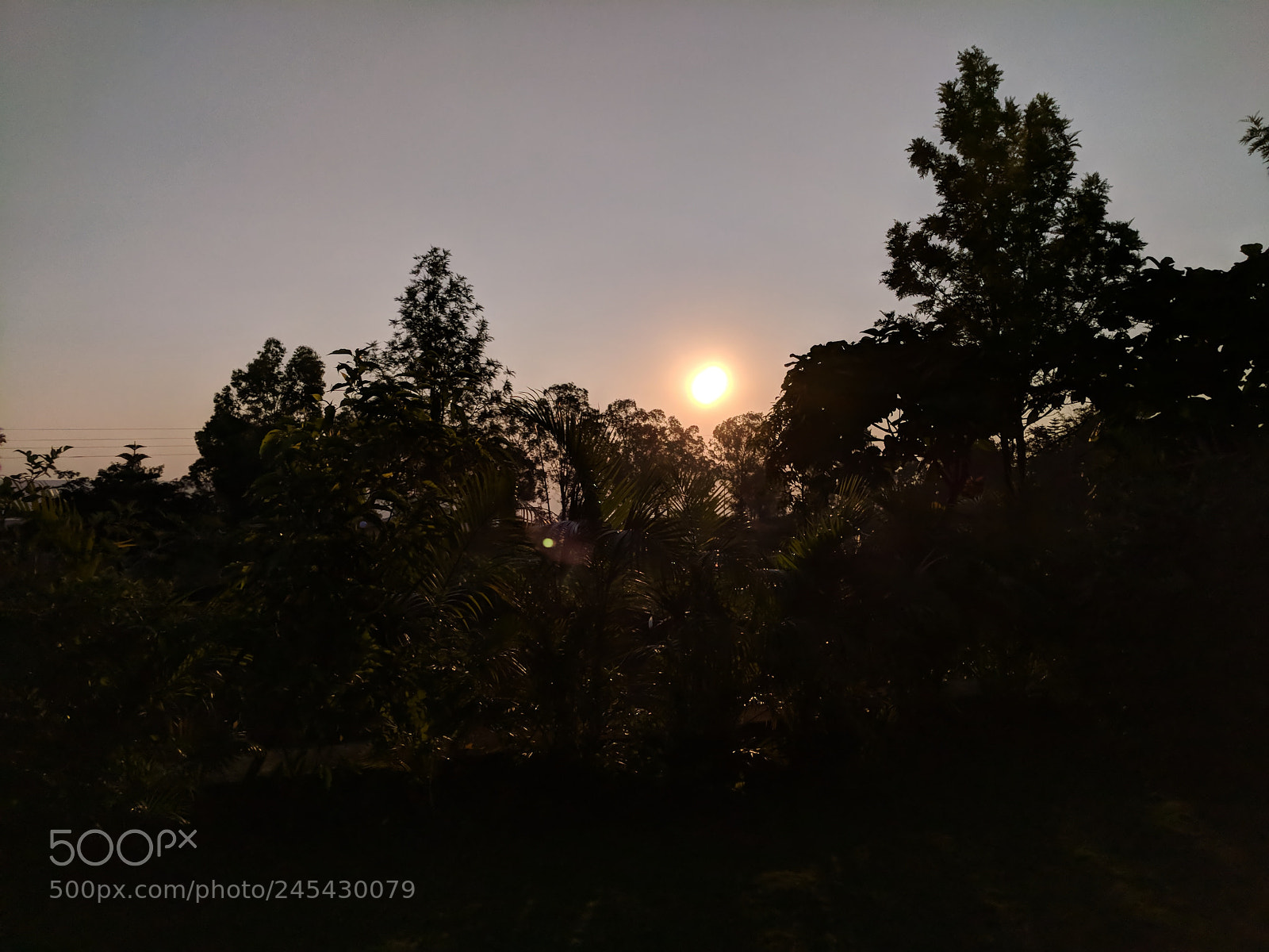 Google Pixel XL sample photo. Img_20171110_070837.jpg photography