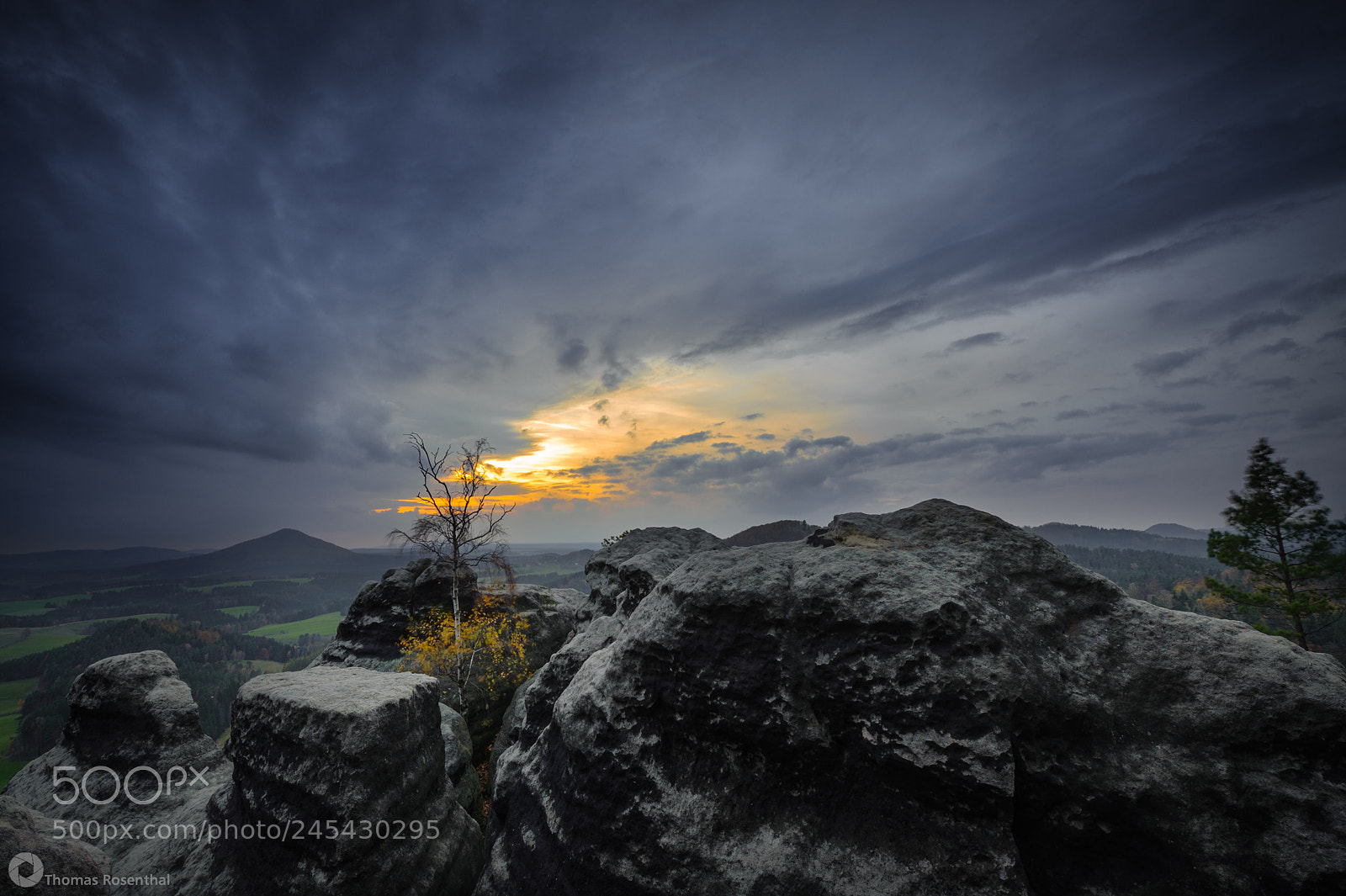 Nikon D700 sample photo. Lonely tree photography
