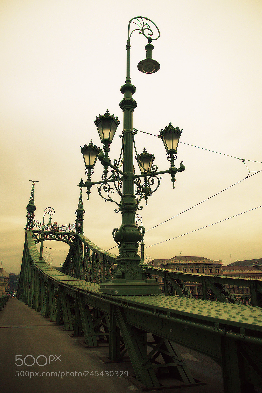 Nikon D80 sample photo. Lanterns on the bridge photography