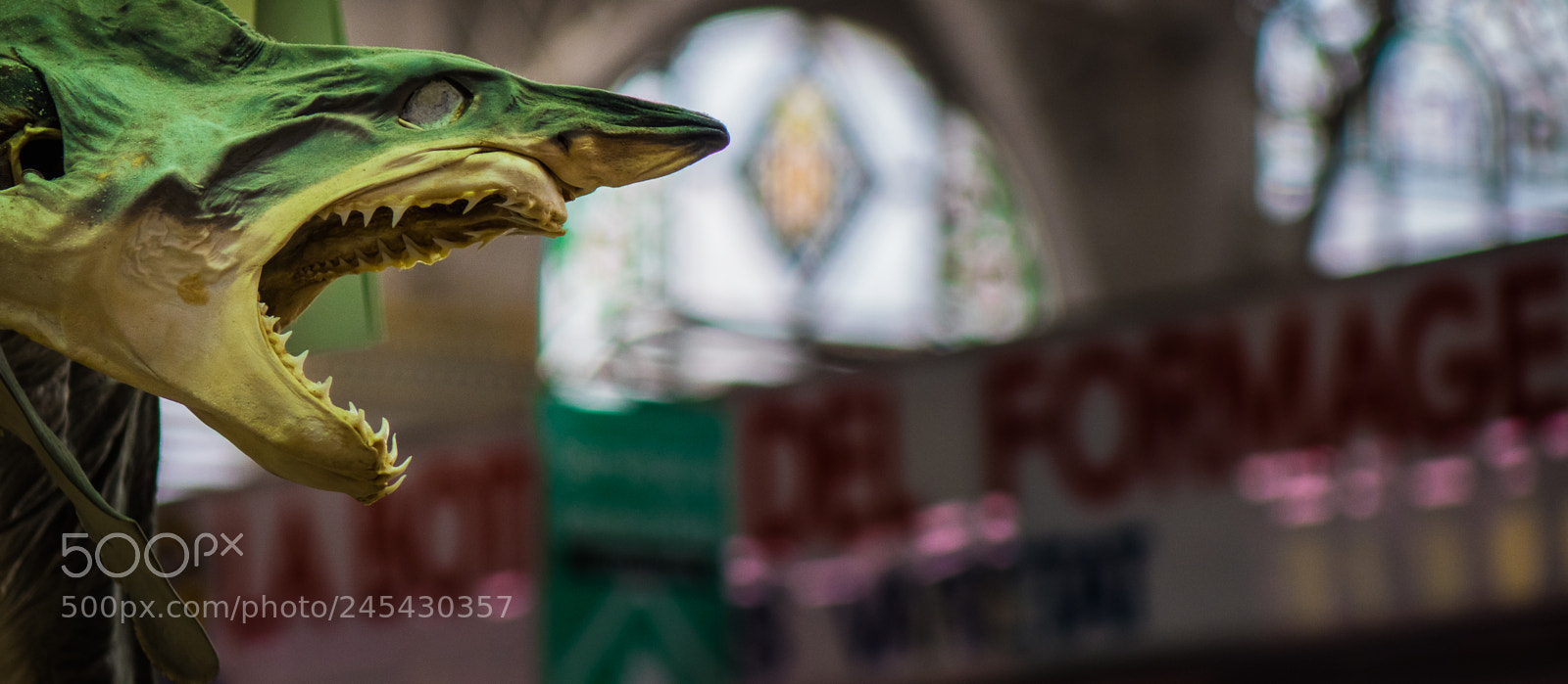 Sony Cyber-shot DSC-RX10 II sample photo. Watch the shark mercado photography