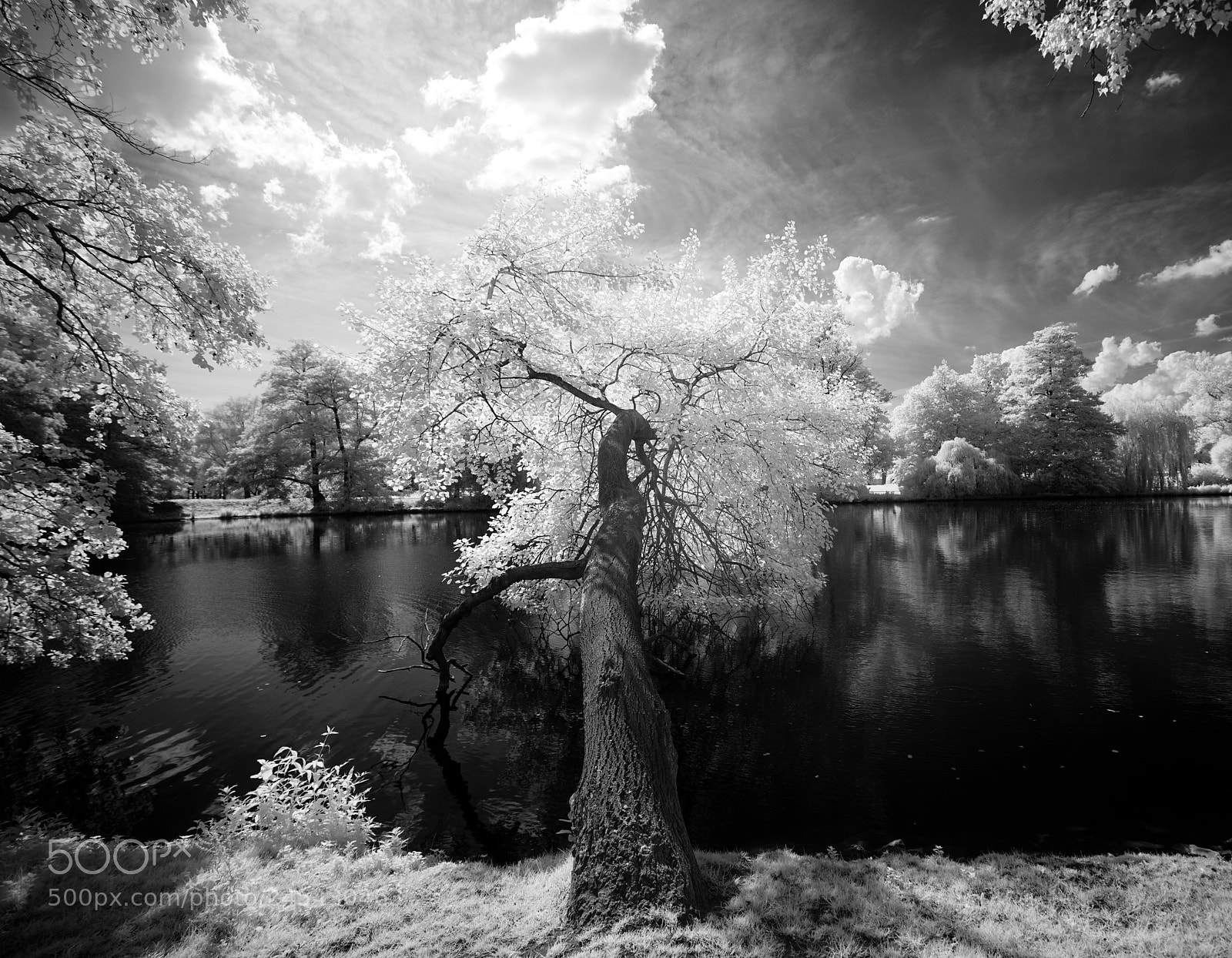 Sony a7R sample photo. :) photography