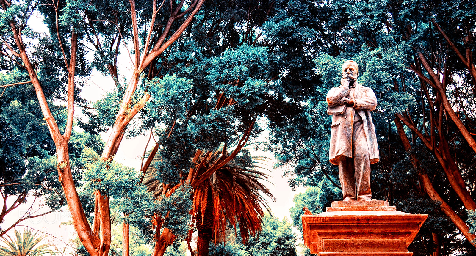 Nikon D5000 sample photo. Man in the park photography