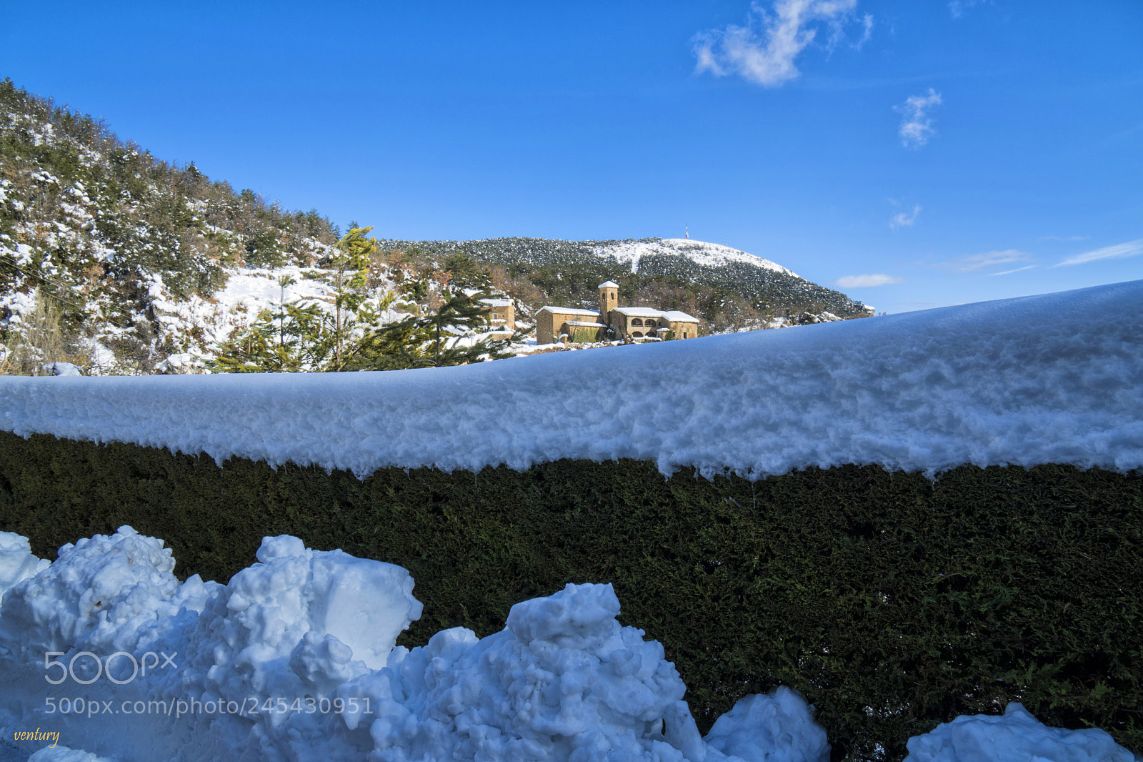 Sony a6500 sample photo. In the snow photography