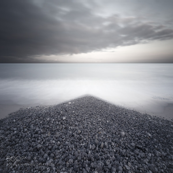 Nikon D800E sample photo. Genre de horde du photography