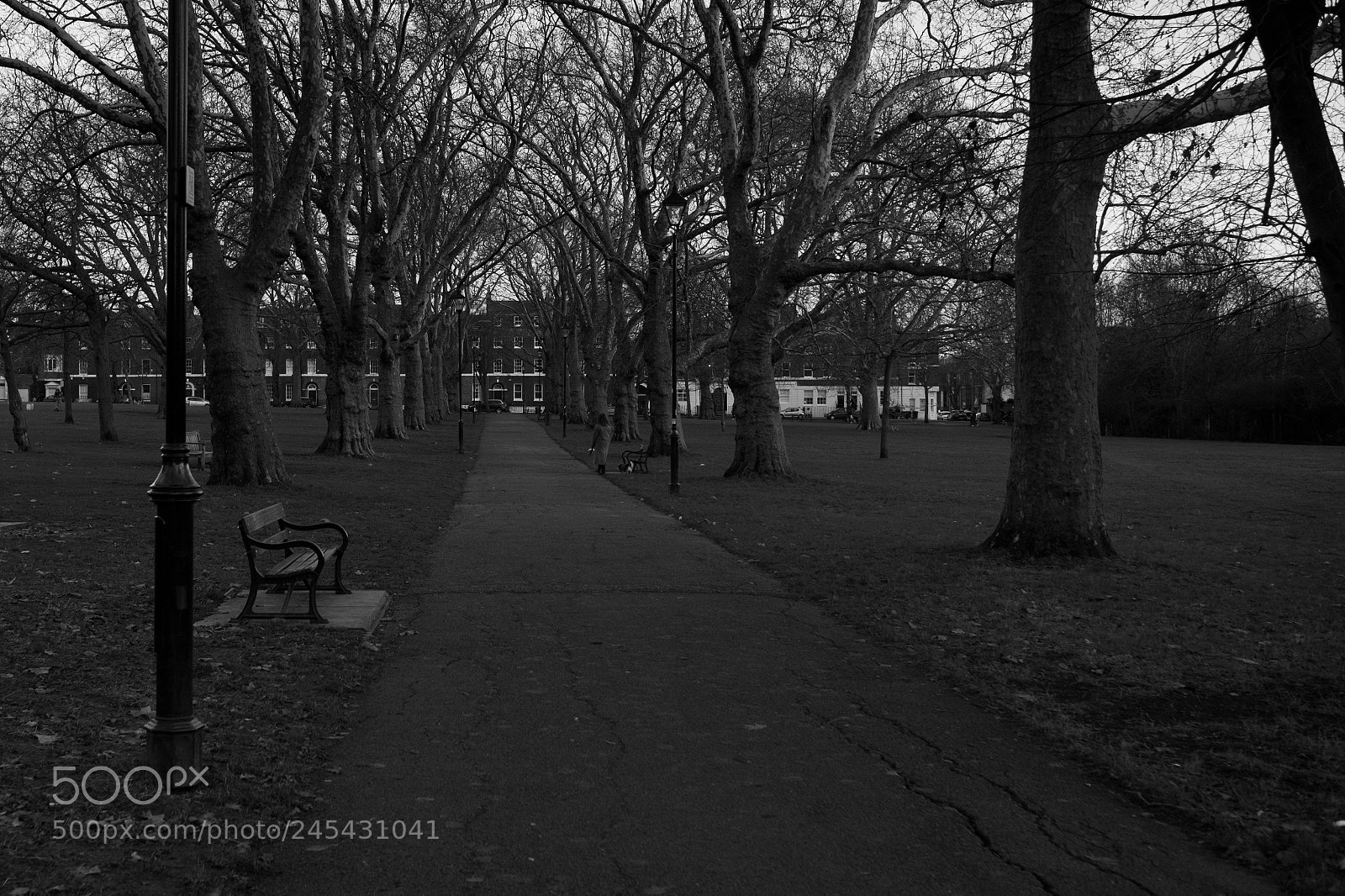 Fujifilm X-Pro2 sample photo. London park photography