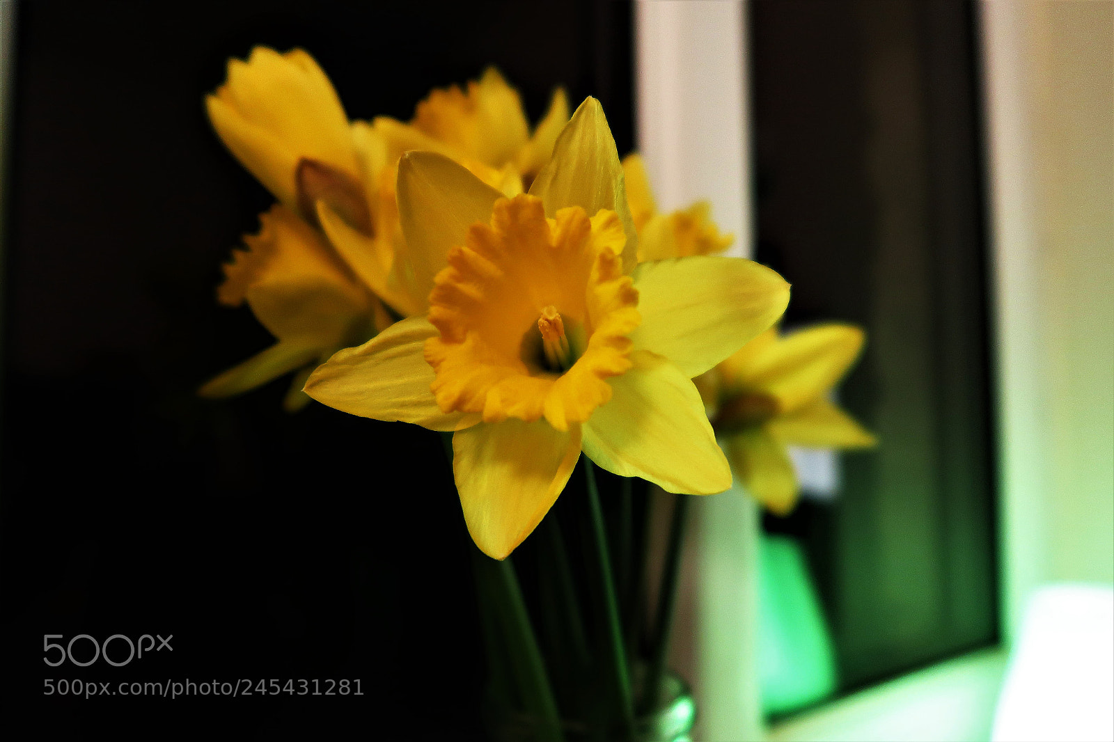 Canon PowerShot G7 X Mark II sample photo. Daffodil photography