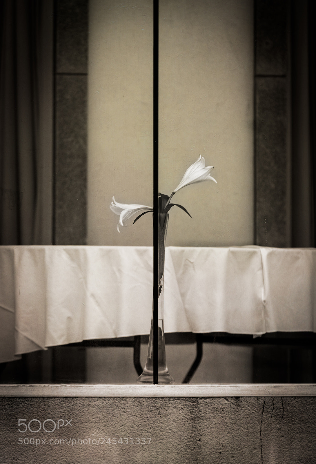 Canon EOS-1D X Mark II sample photo. Lilies at the midland photography
