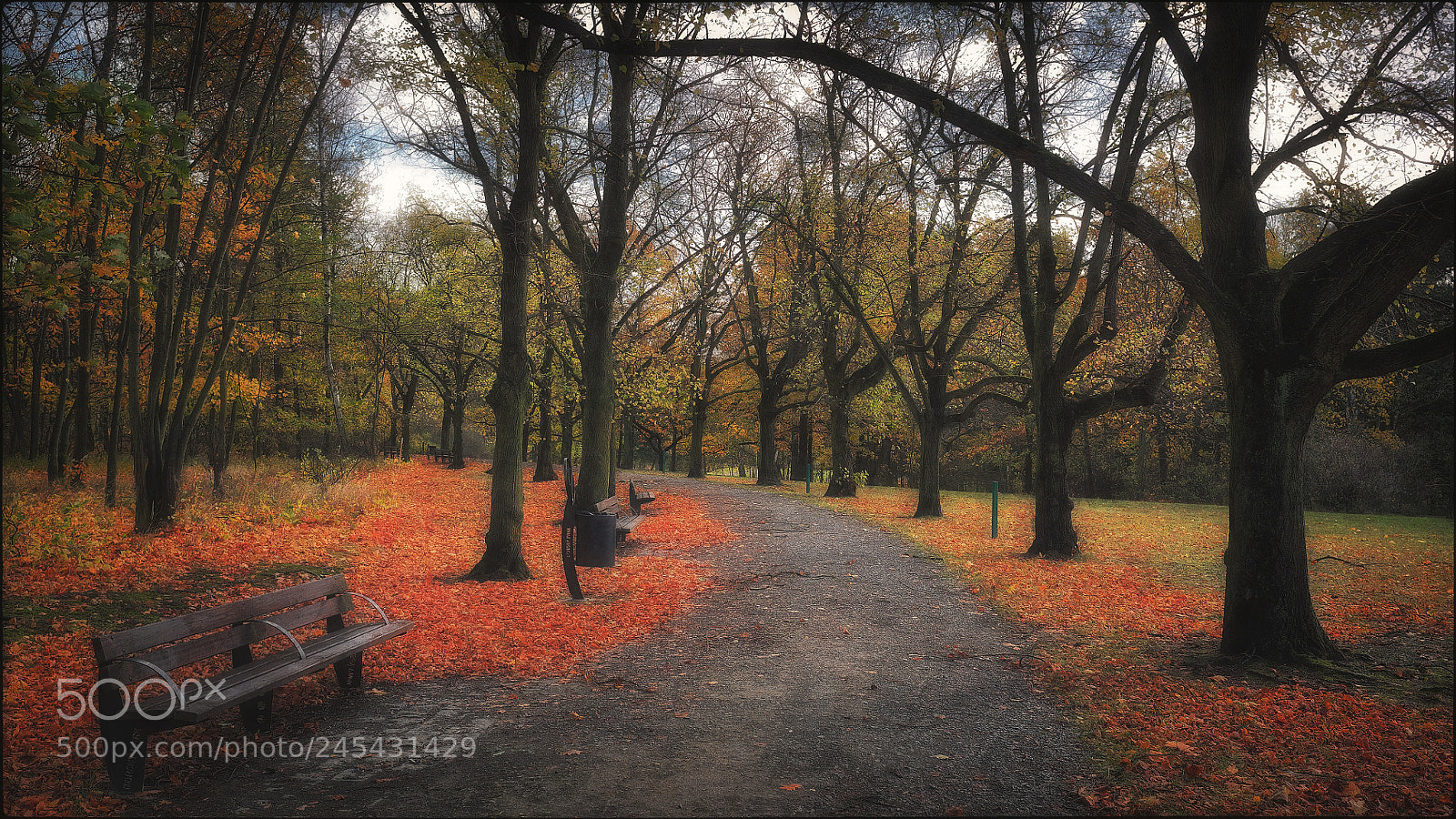 Fujifilm FinePix X100 sample photo. Memory of autumn iii photography
