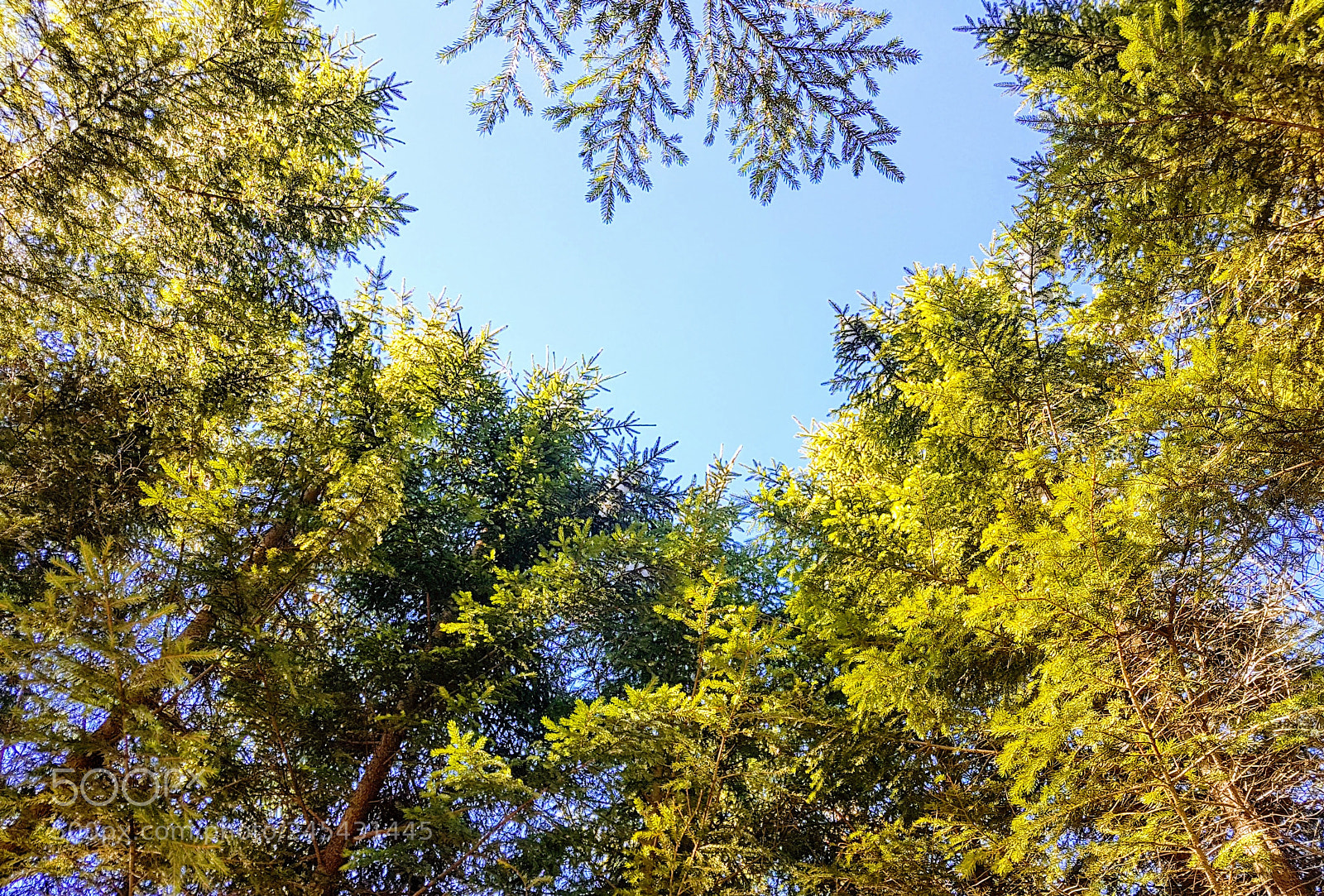 Samsung Galaxy S7 Edge sample photo. Green & blue photography