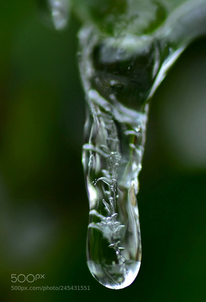 Nikon D5600 sample photo. Untitled photography