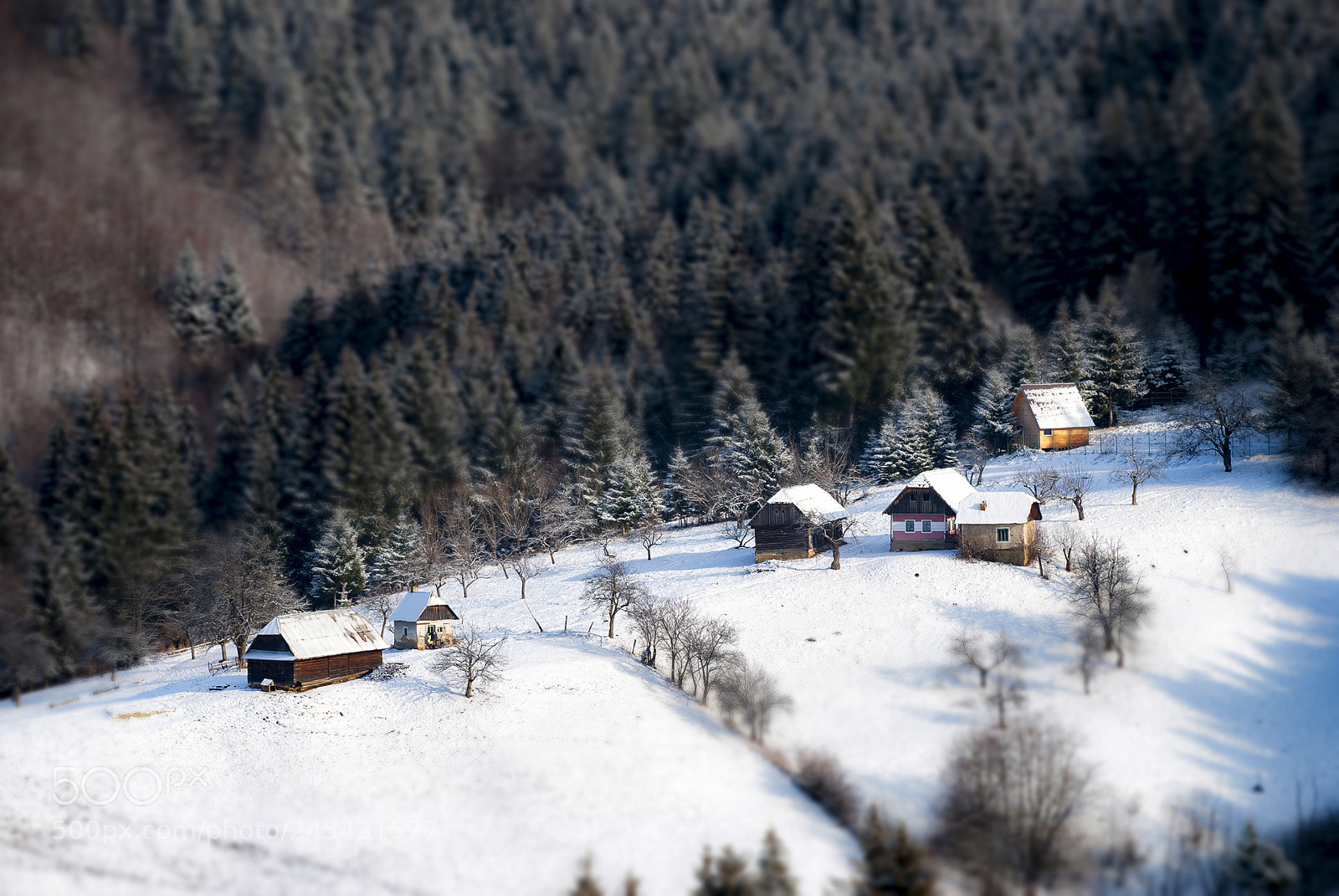 Nikon D80 sample photo. Tiny houses photography