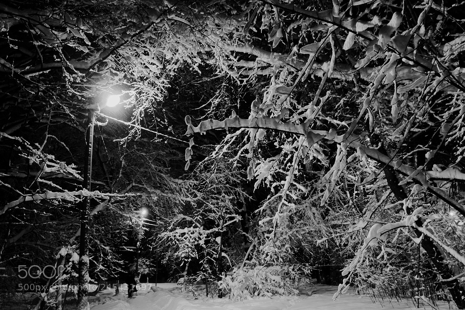 Canon EOS 50D sample photo. Версия 2 photography