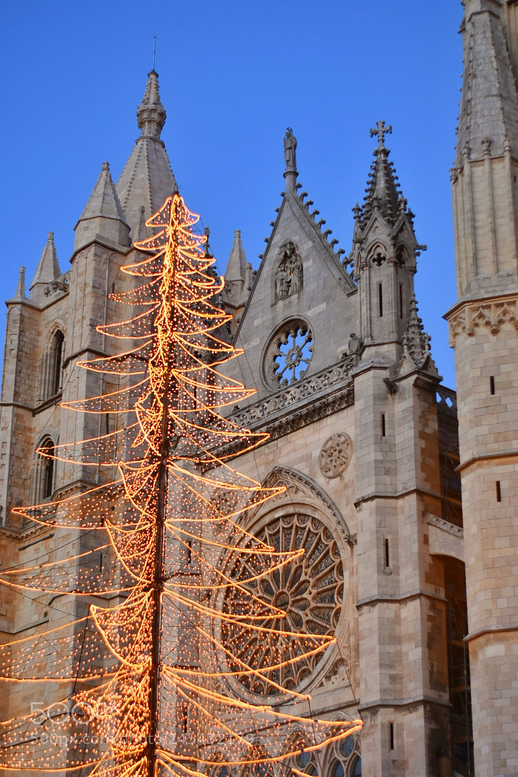 Nikon D7200 sample photo. León photography