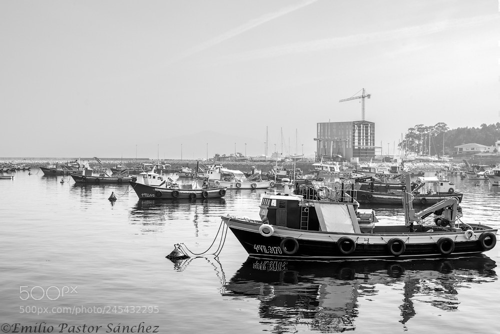 Nikon D800 sample photo. Copia photography
