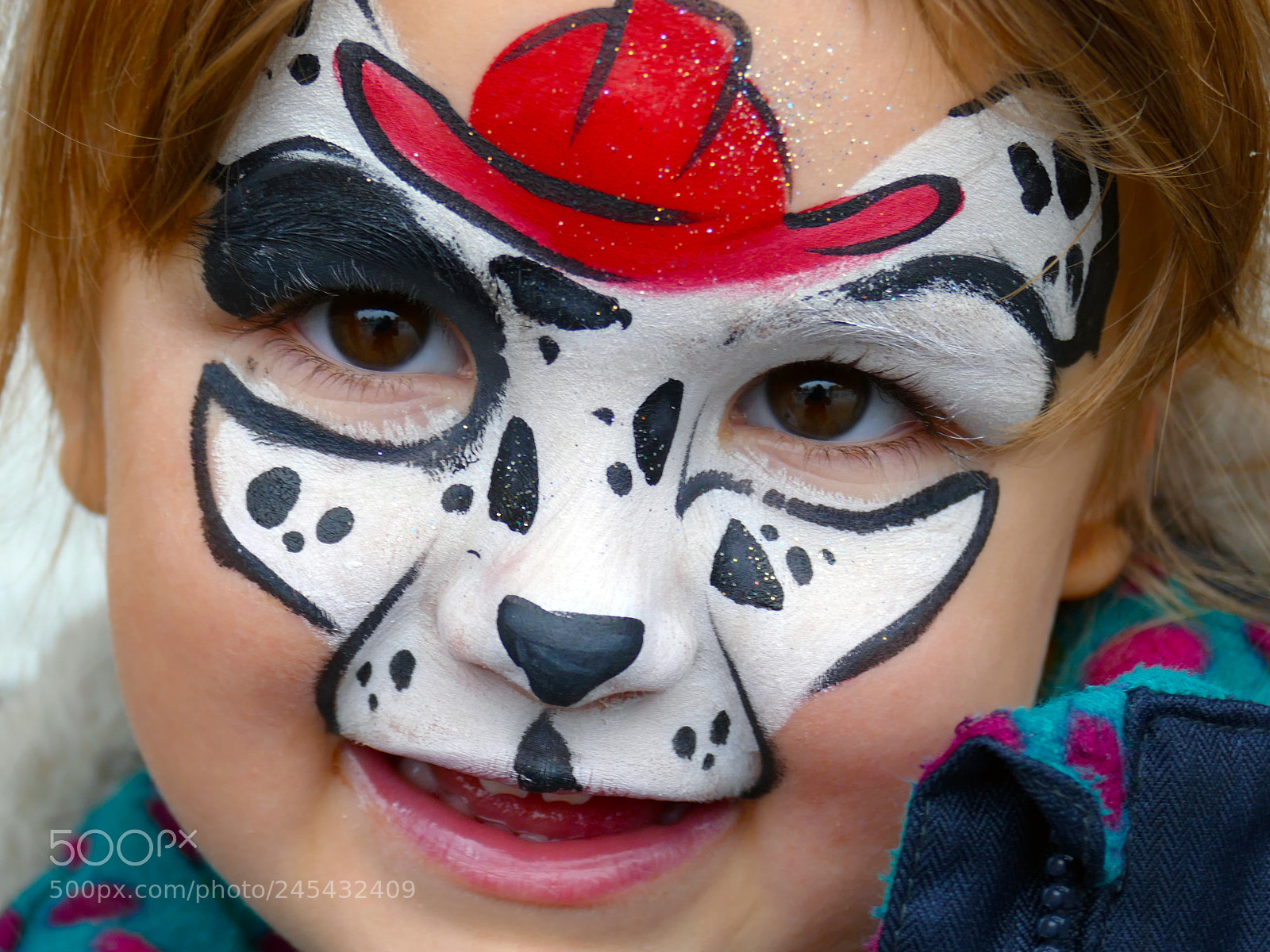 Panasonic Lumix DMC-FZ1000 sample photo. Marshall/paw patrol photography