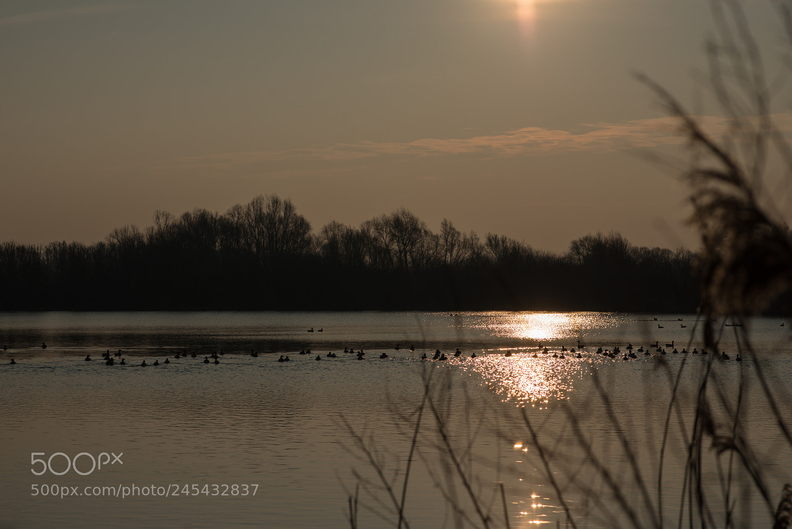 Nikon D800 sample photo. In the morning photography