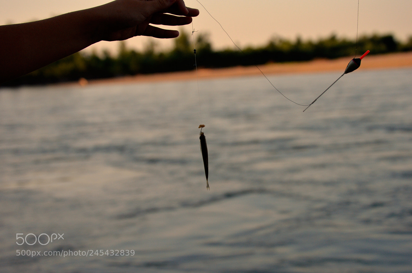 Nikon D3200 sample photo. Small catch photography
