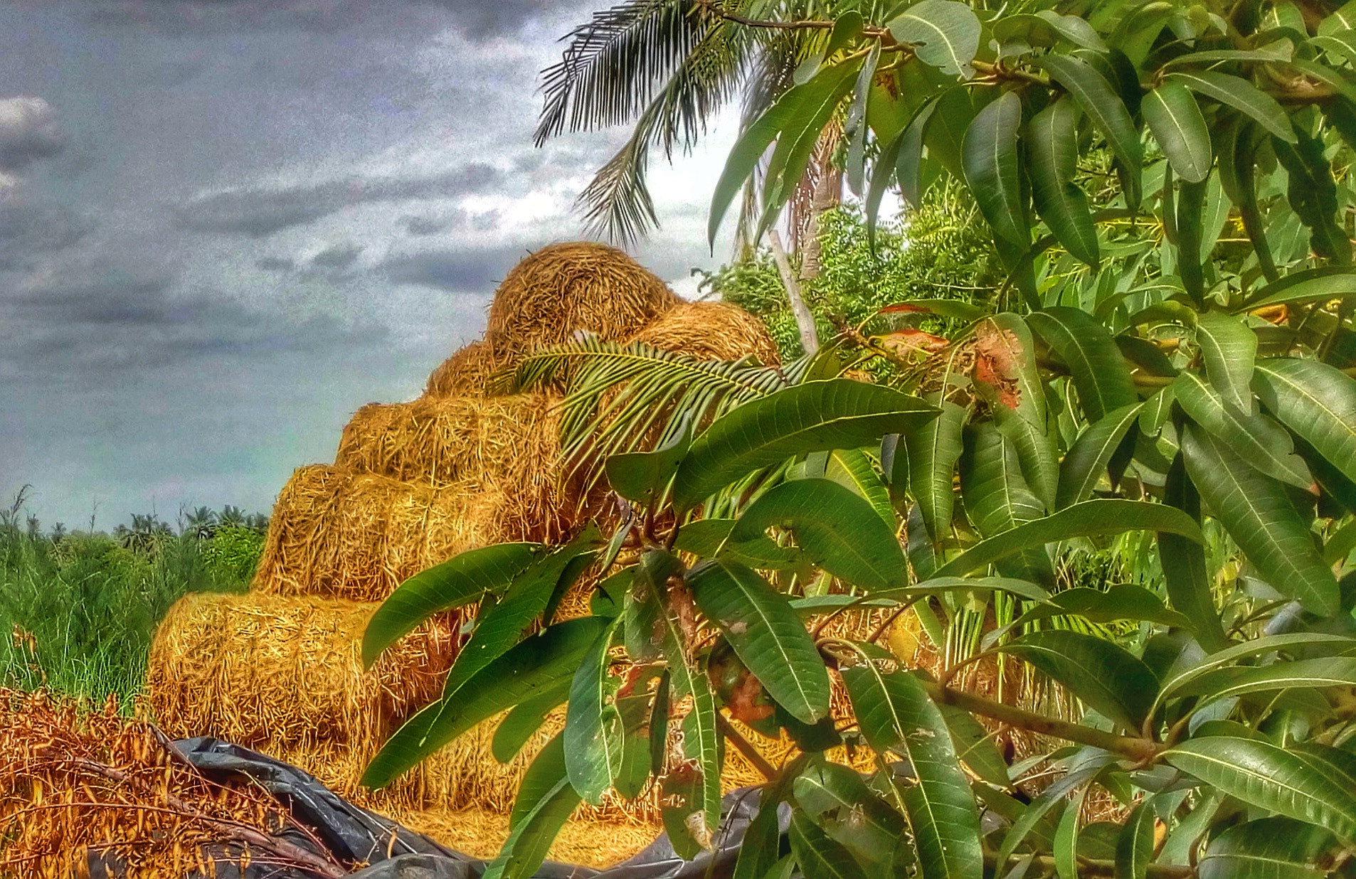 Motorola Moto E3 Power sample photo