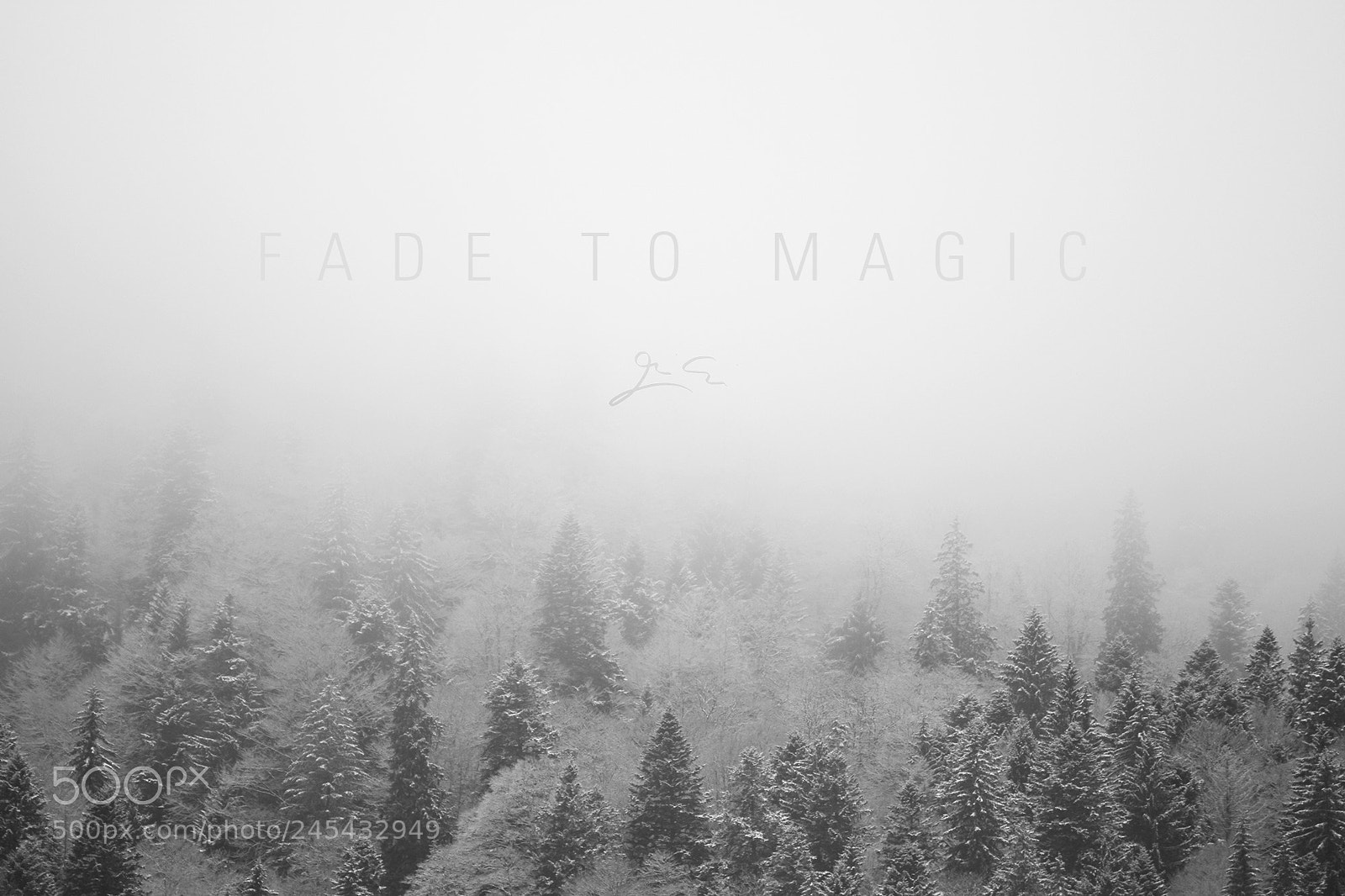 Nikon D7200 sample photo. Fade to magic photography