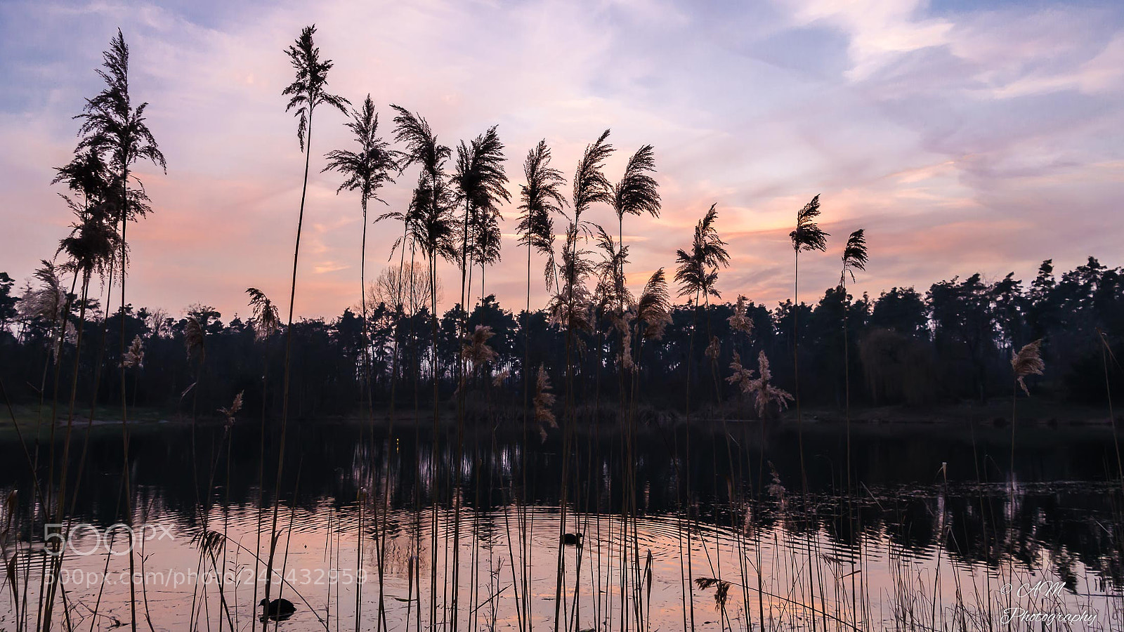 Nikon D5100 sample photo. Sonnenuntergang am see photography