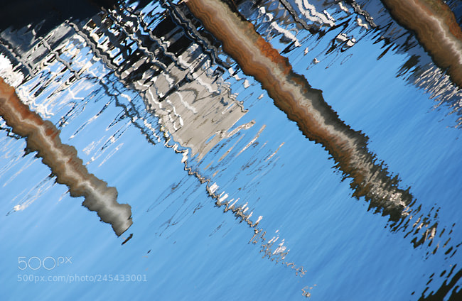 Nikon D60 sample photo. Td photography