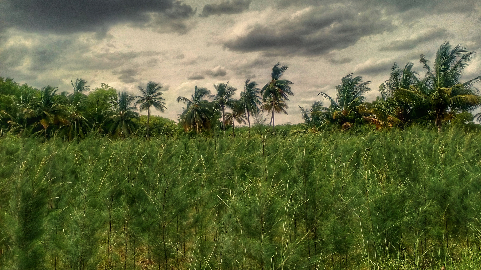 Motorola Moto E3 Power sample photo