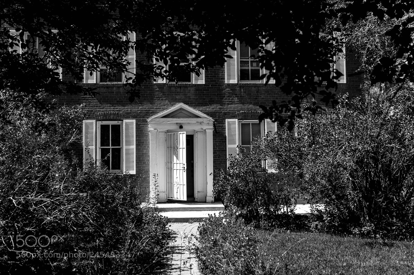 Nikon D7200 sample photo. Untitled photography
