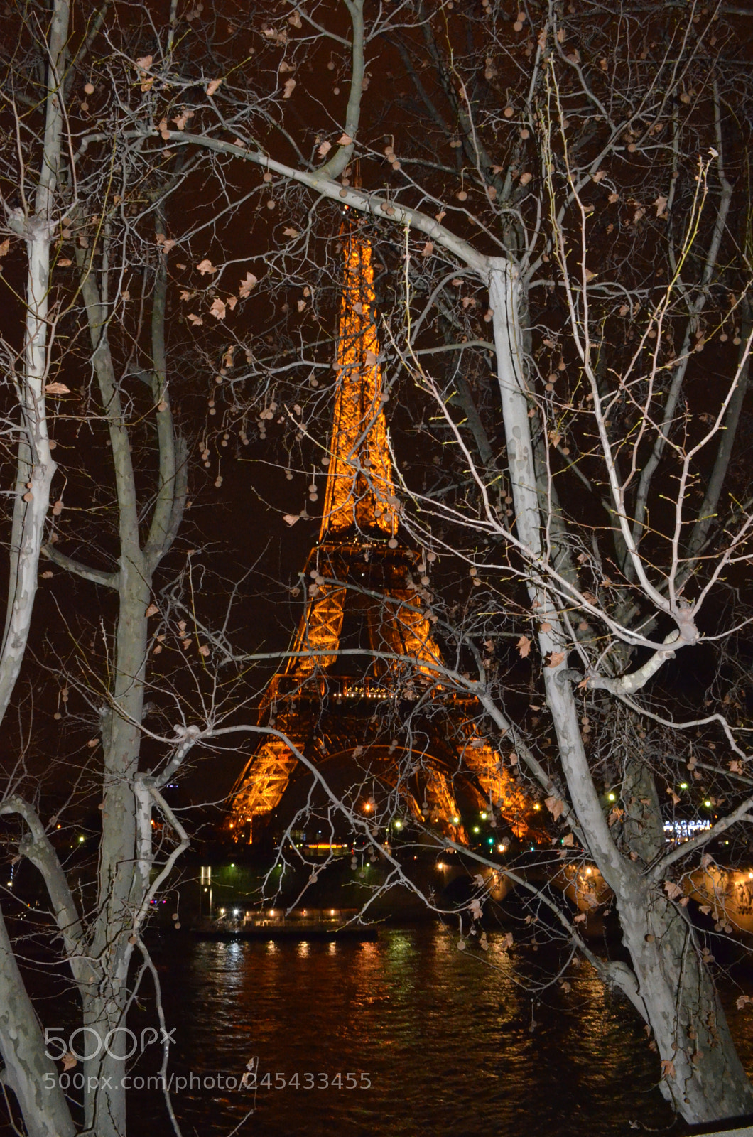 Nikon D5100 sample photo. Paris photography