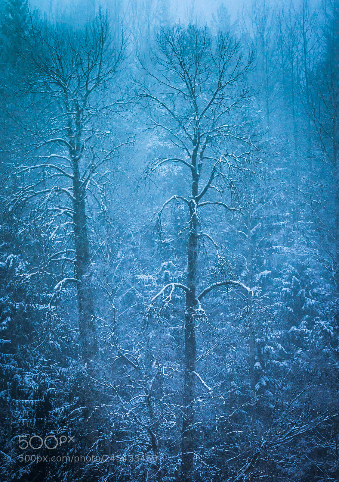 Canon EOS 7D Mark II sample photo. Blue moment photography