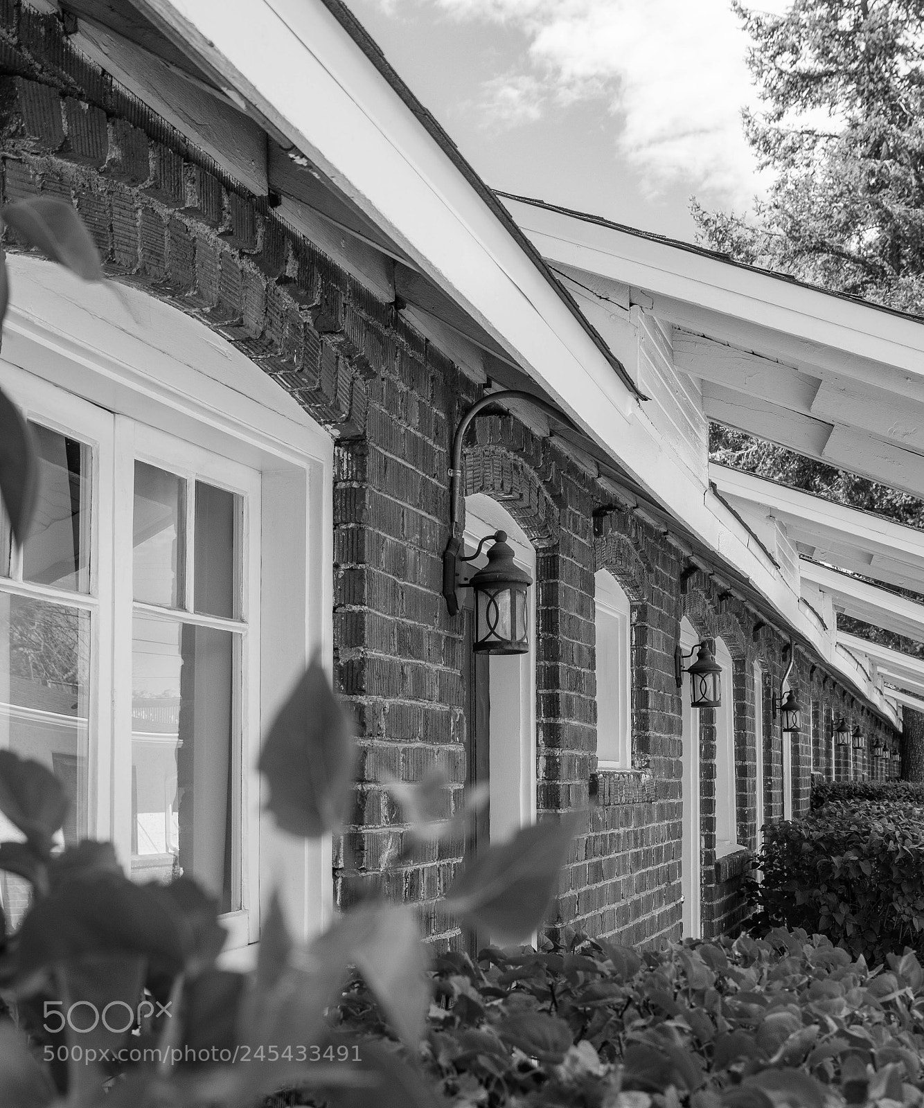 Nikon D7200 sample photo. Untitled photography