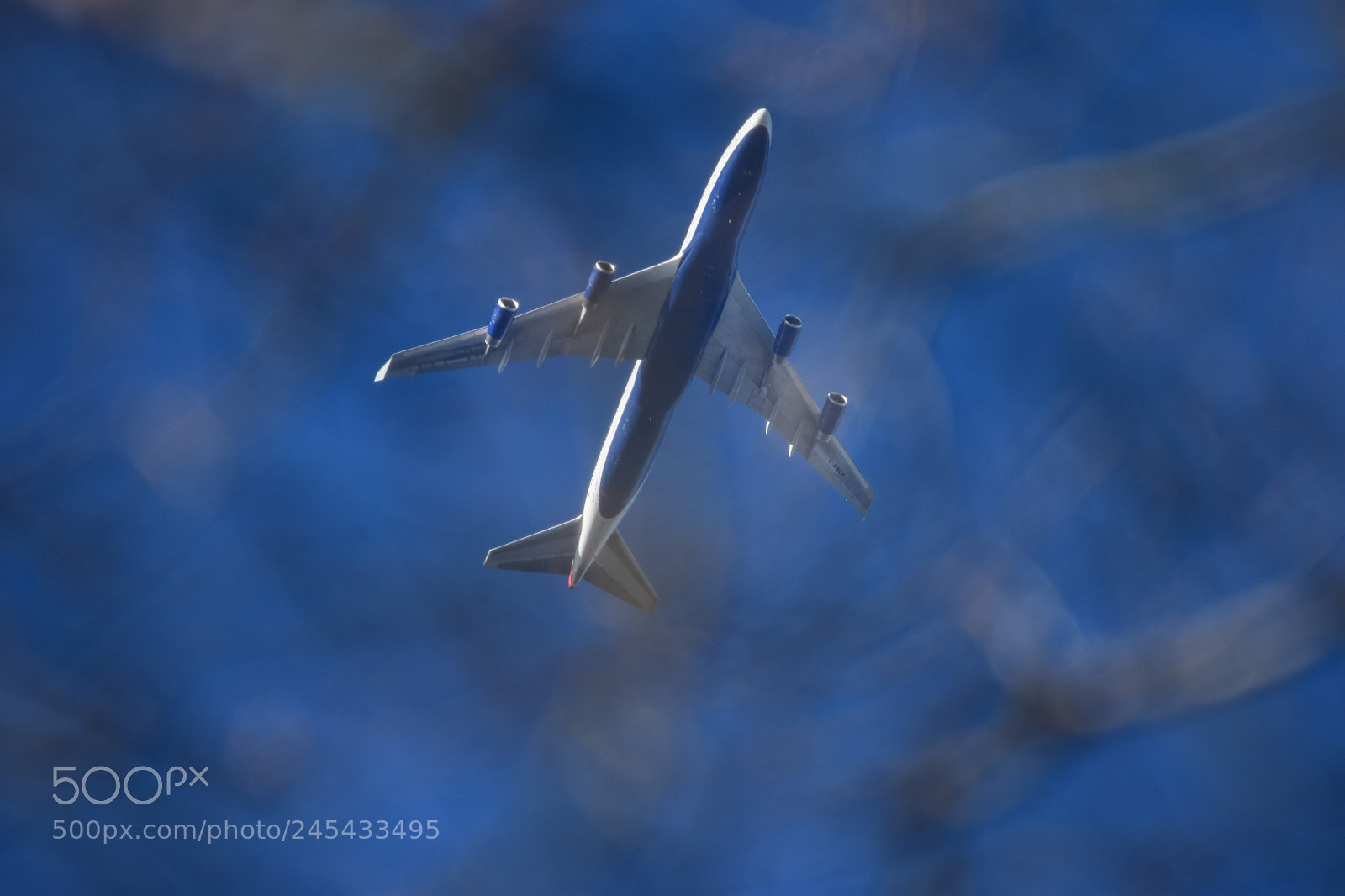 Nikon D7200 sample photo. Flying over the woods... photography