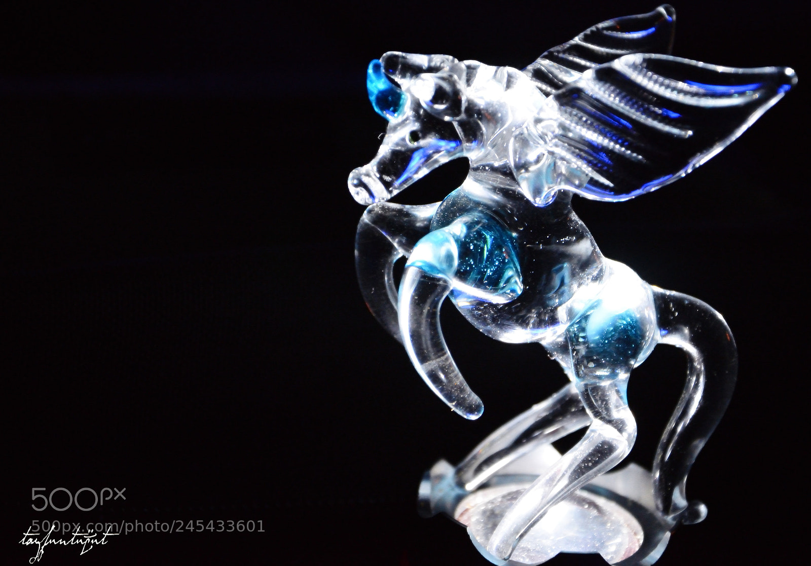 Nikon D5200 sample photo. Glass horse photography