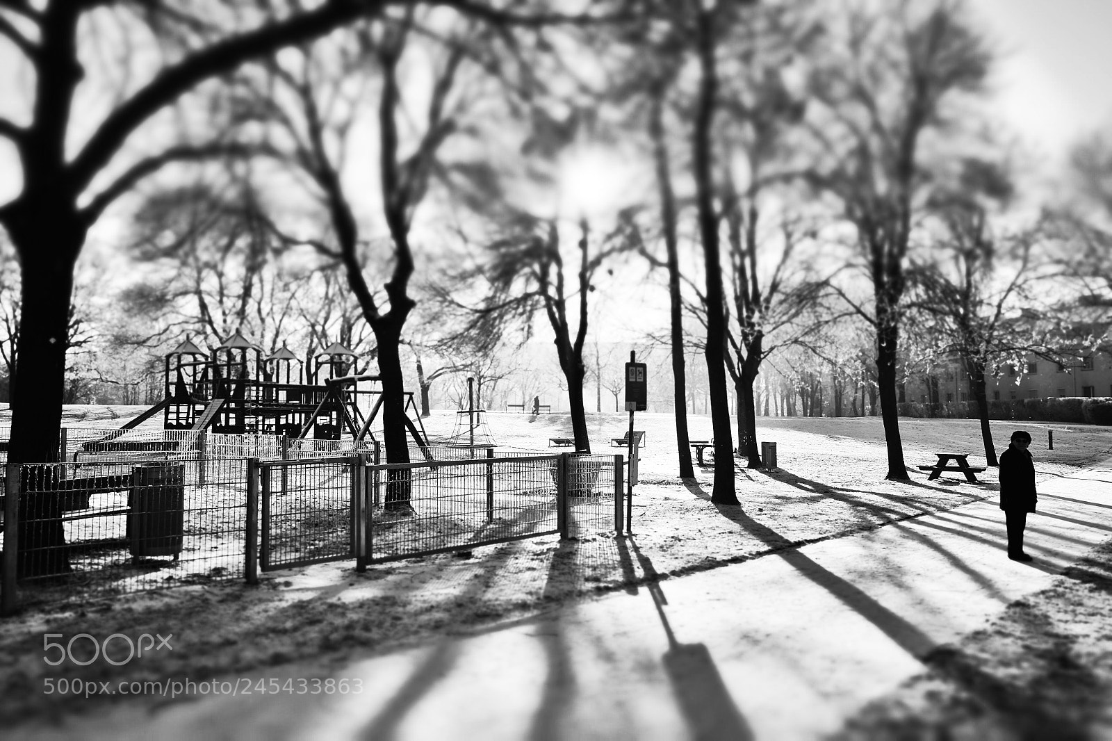 Fujifilm X-T10 sample photo. Schatten photography