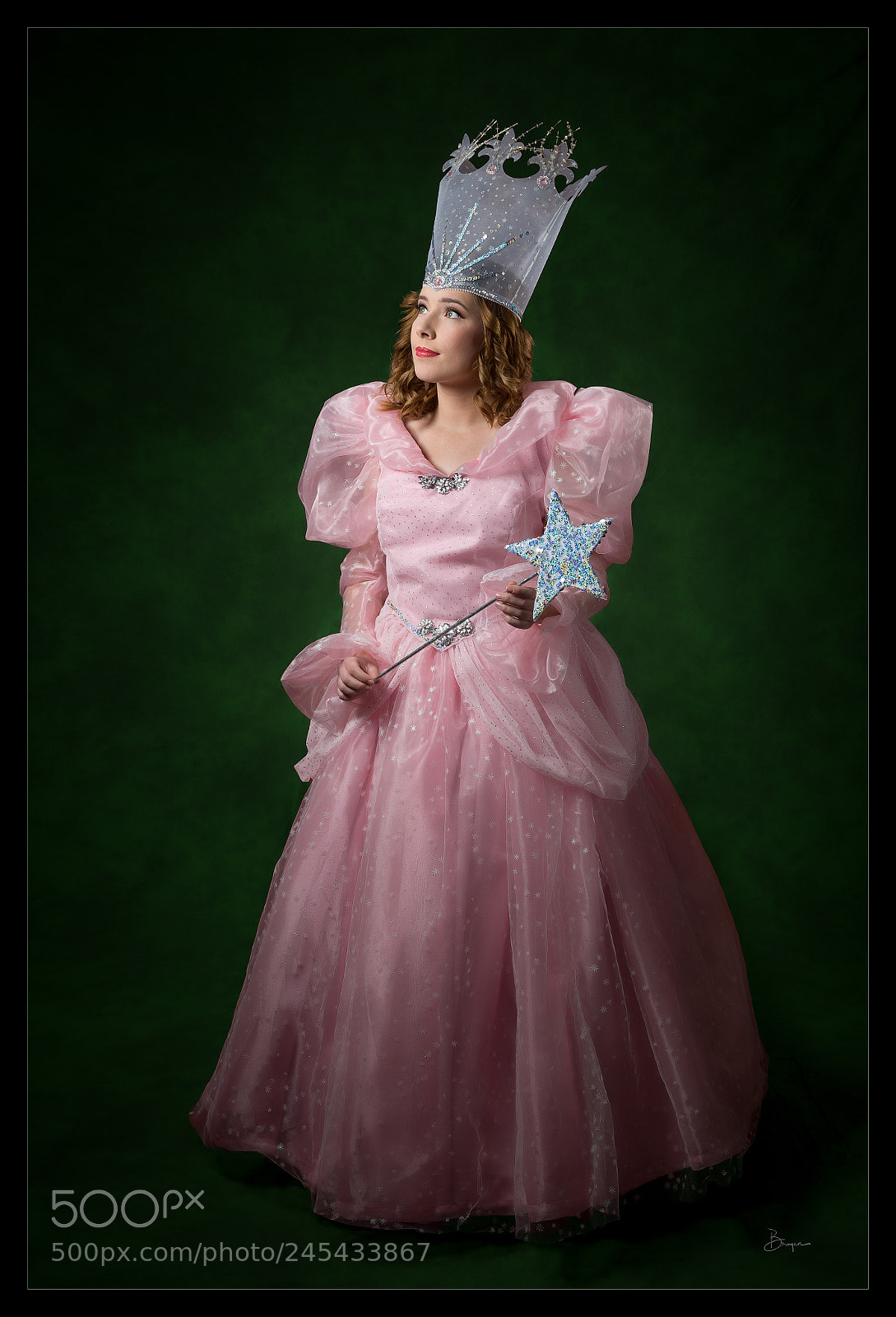 Canon EOS-1D X sample photo. The good witch photography