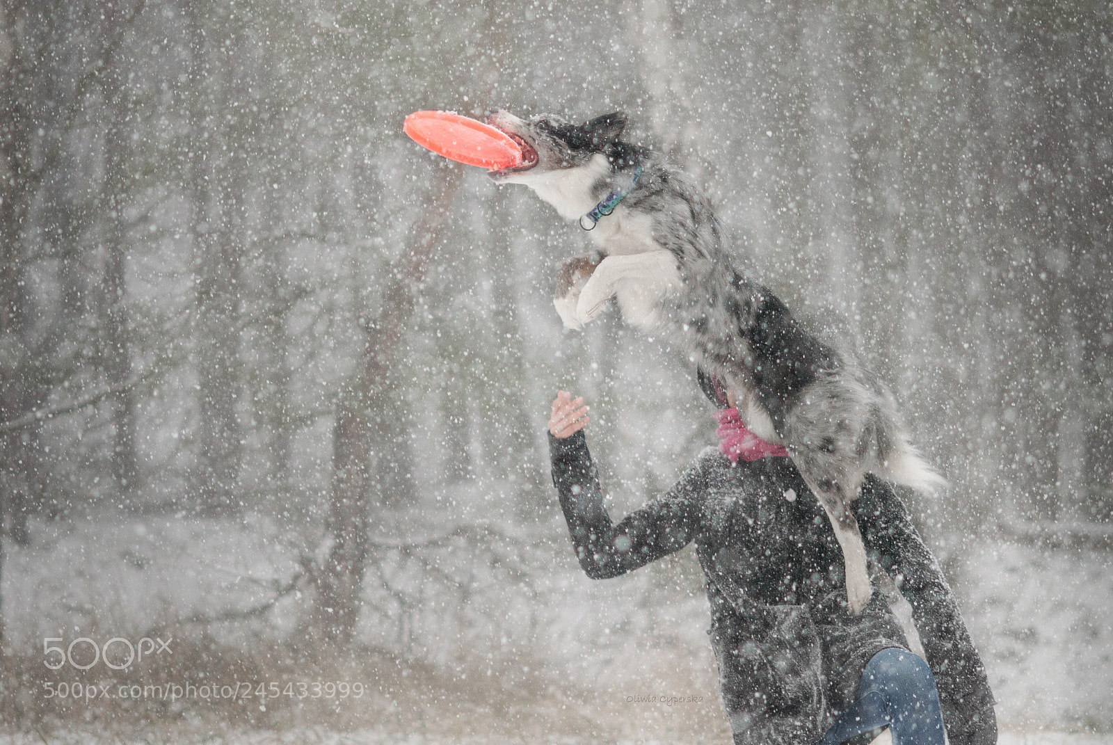 Nikon D200 sample photo. Vault photography
