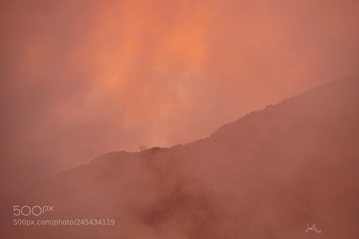 Sony SLT-A58 sample photo. Ocaso a trabes de photography