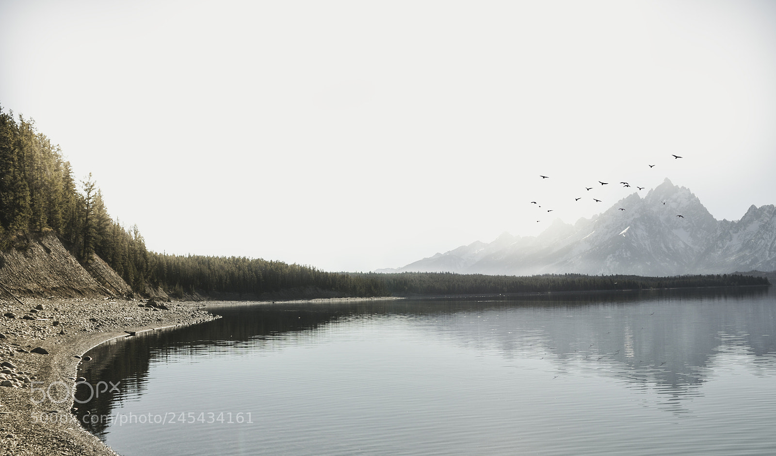 Nikon D90 sample photo. Jackson lake photography