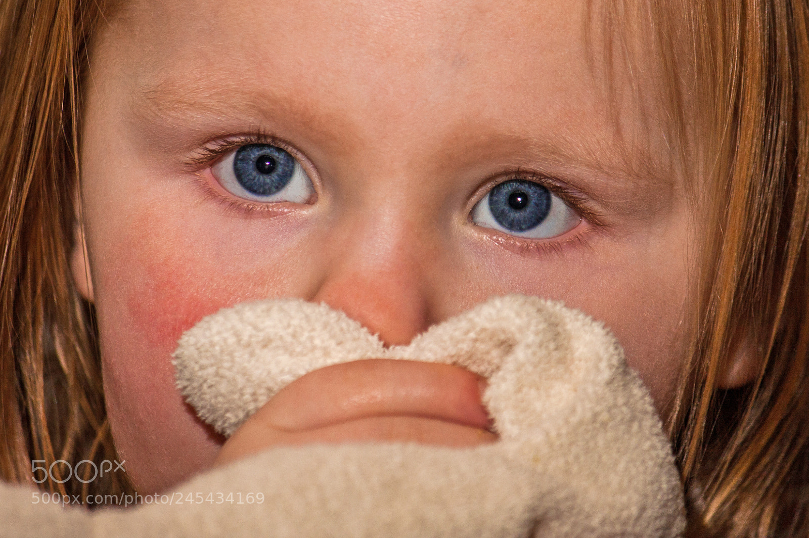 Canon EOS 40D sample photo. The eyes have it photography