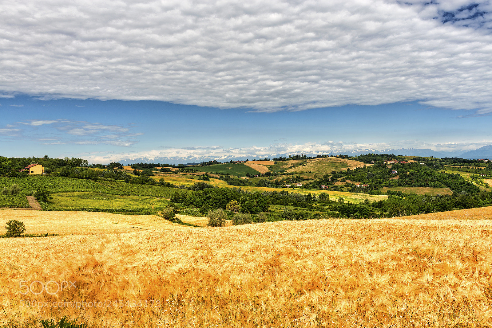 Nikon D800 sample photo. Monferrato (italy): landscape photography