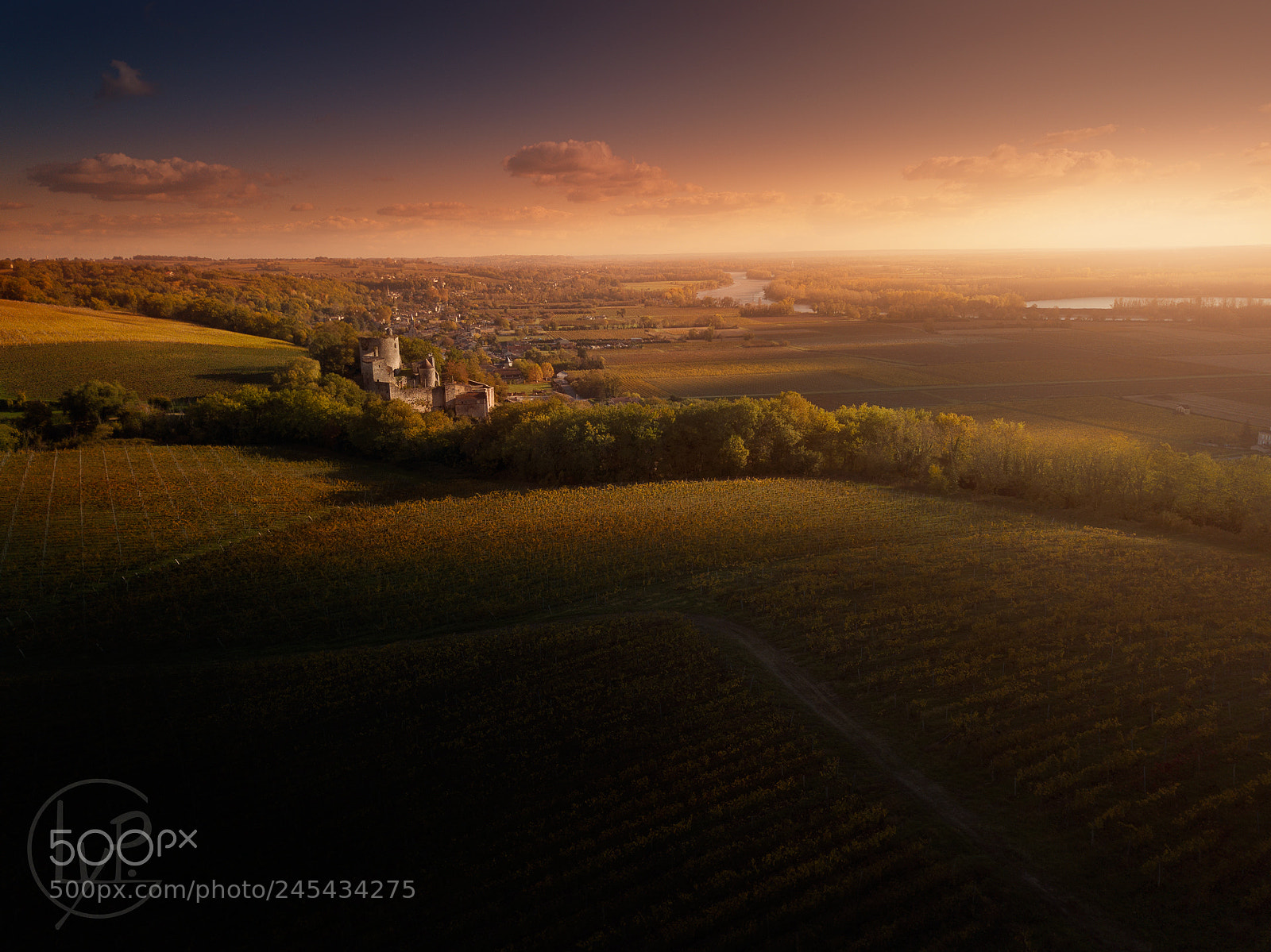DJI FC220 sample photo. Chateau langoiran photography