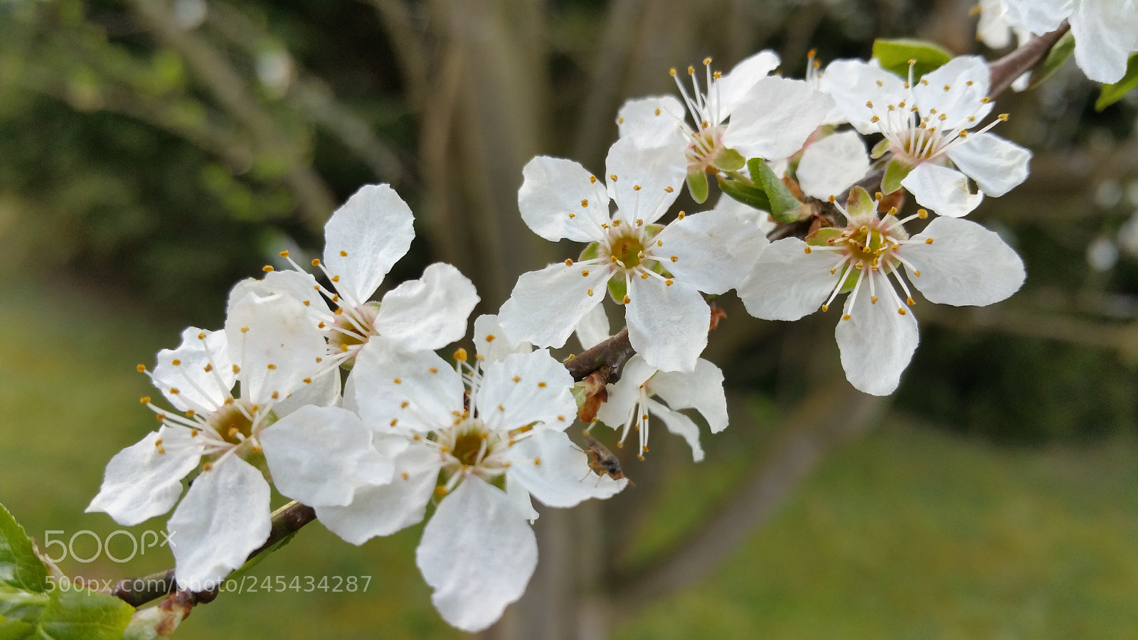Samsung Galaxy Note4 sample photo. Untitled photography