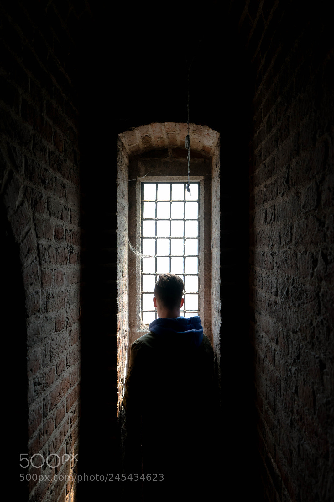 Sony a7 II sample photo. Looking outside. photography