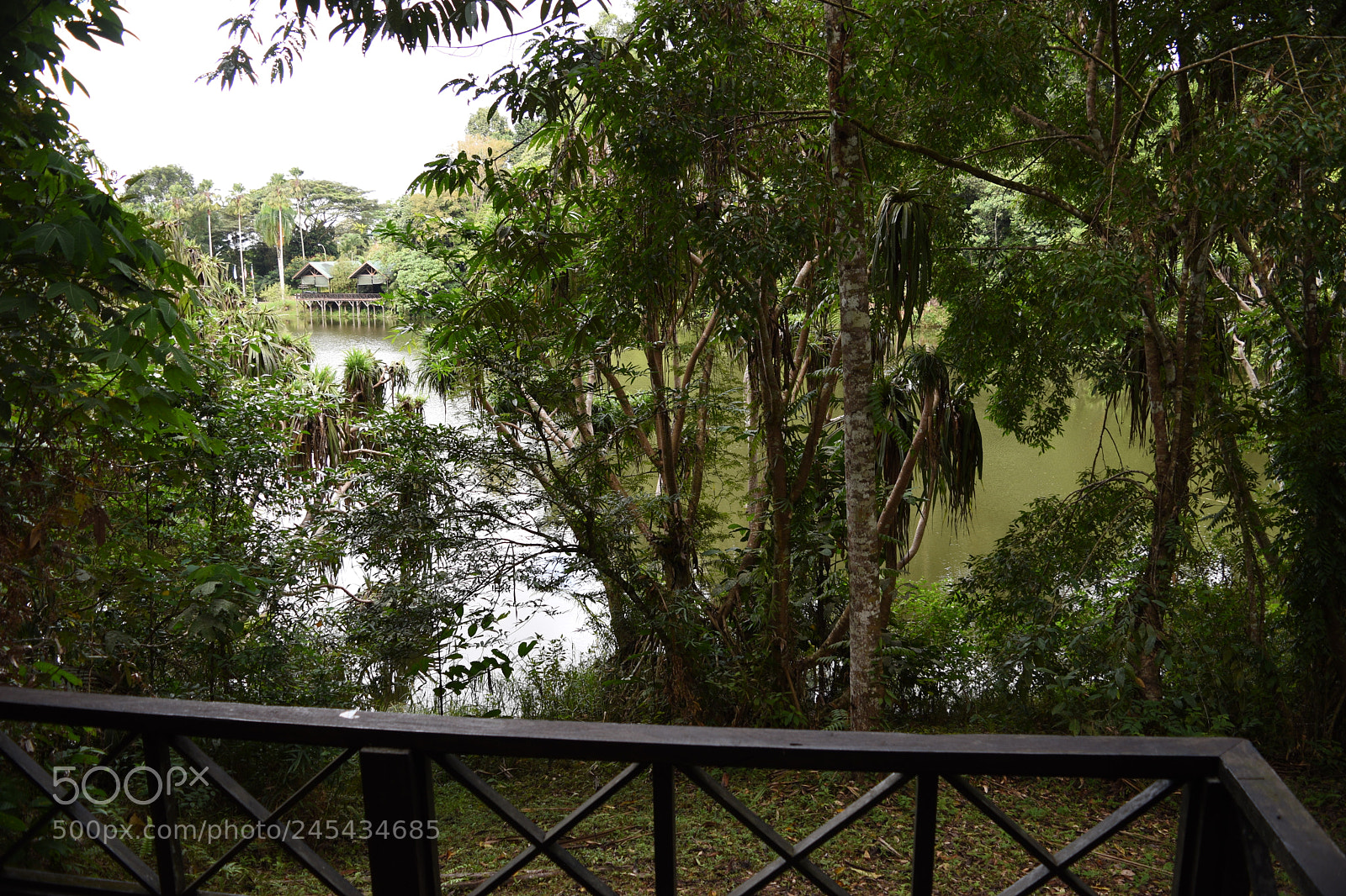 Nikon D5500 sample photo. Just take a second photography