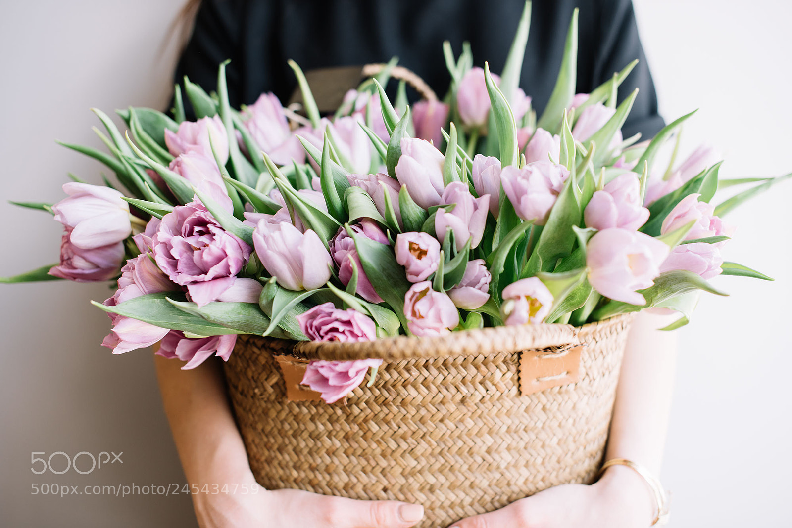 Nikon D810 sample photo. Tulips photography