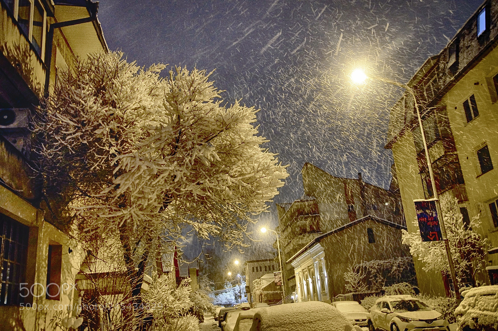 Sony SLT-A57 sample photo. It's winter again photography