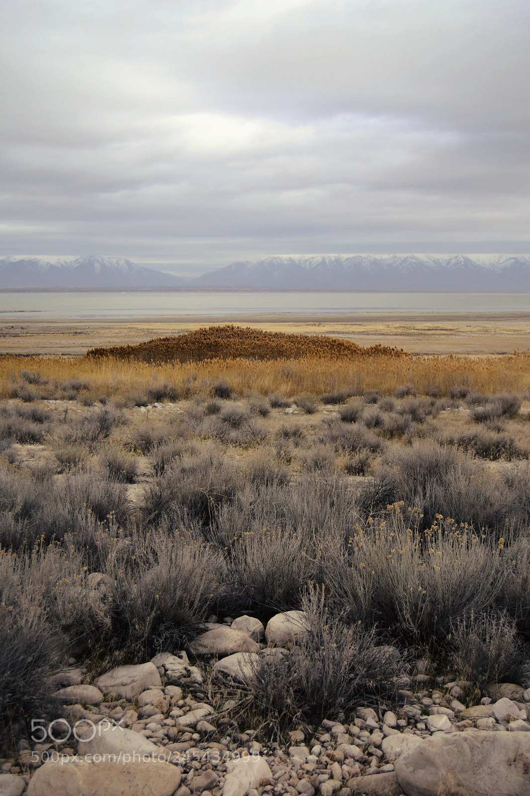 Nikon D7200 sample photo. Miles into bliss photography