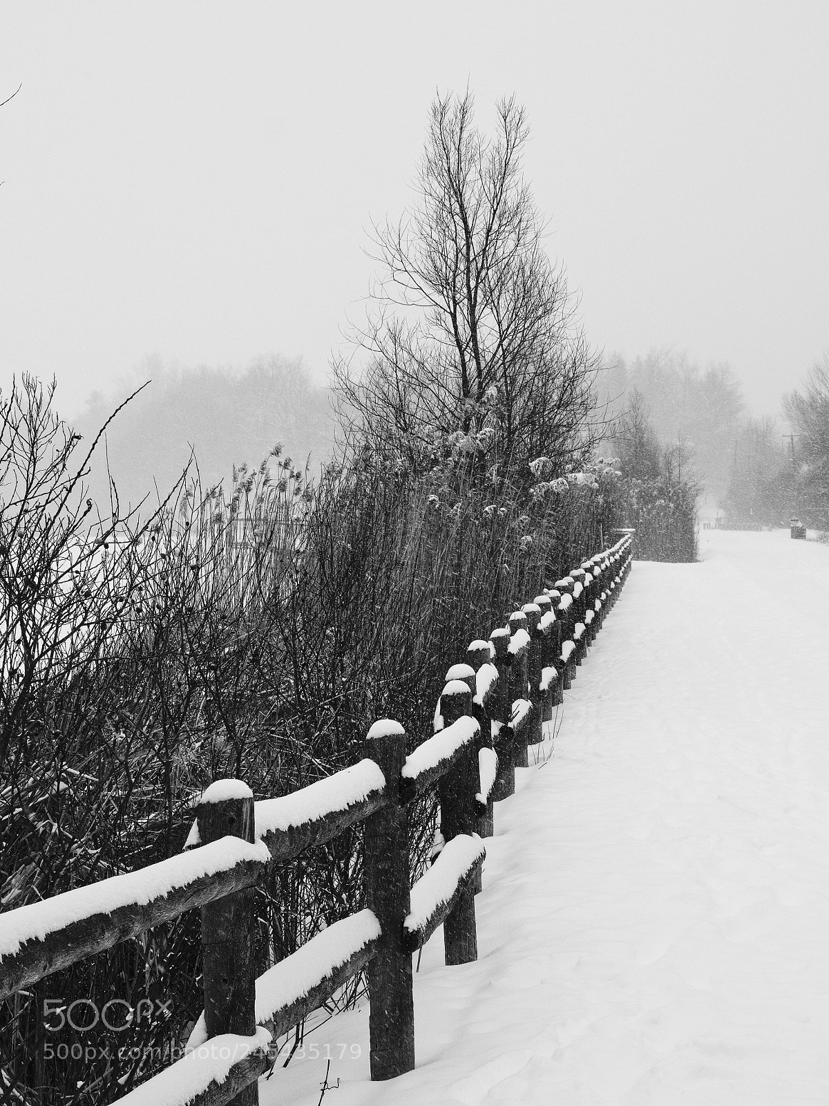 Olympus OM-D E-M5 sample photo. Tranquility in the storm photography
