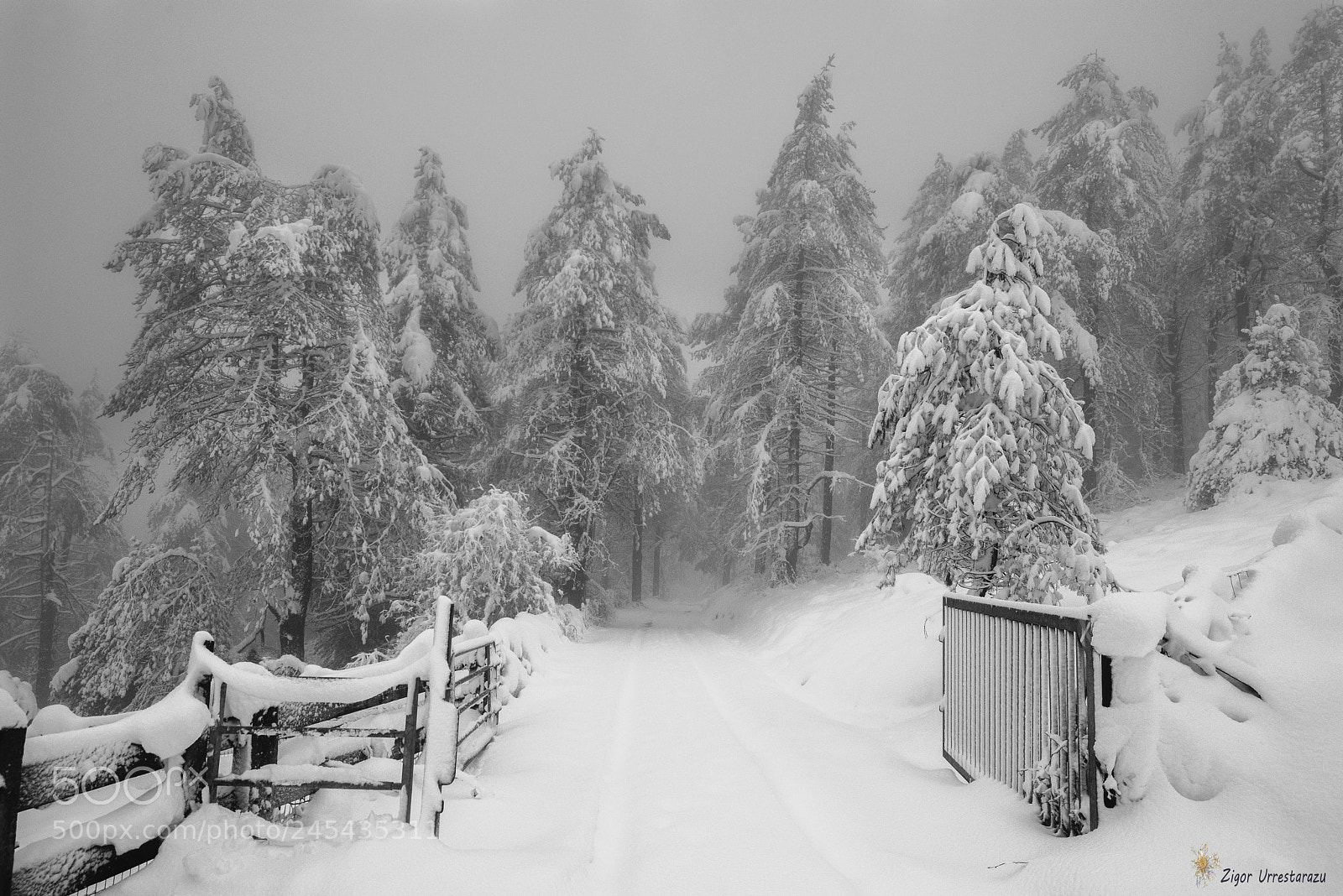 Nikon D800 sample photo. Winter landscapes. photography
