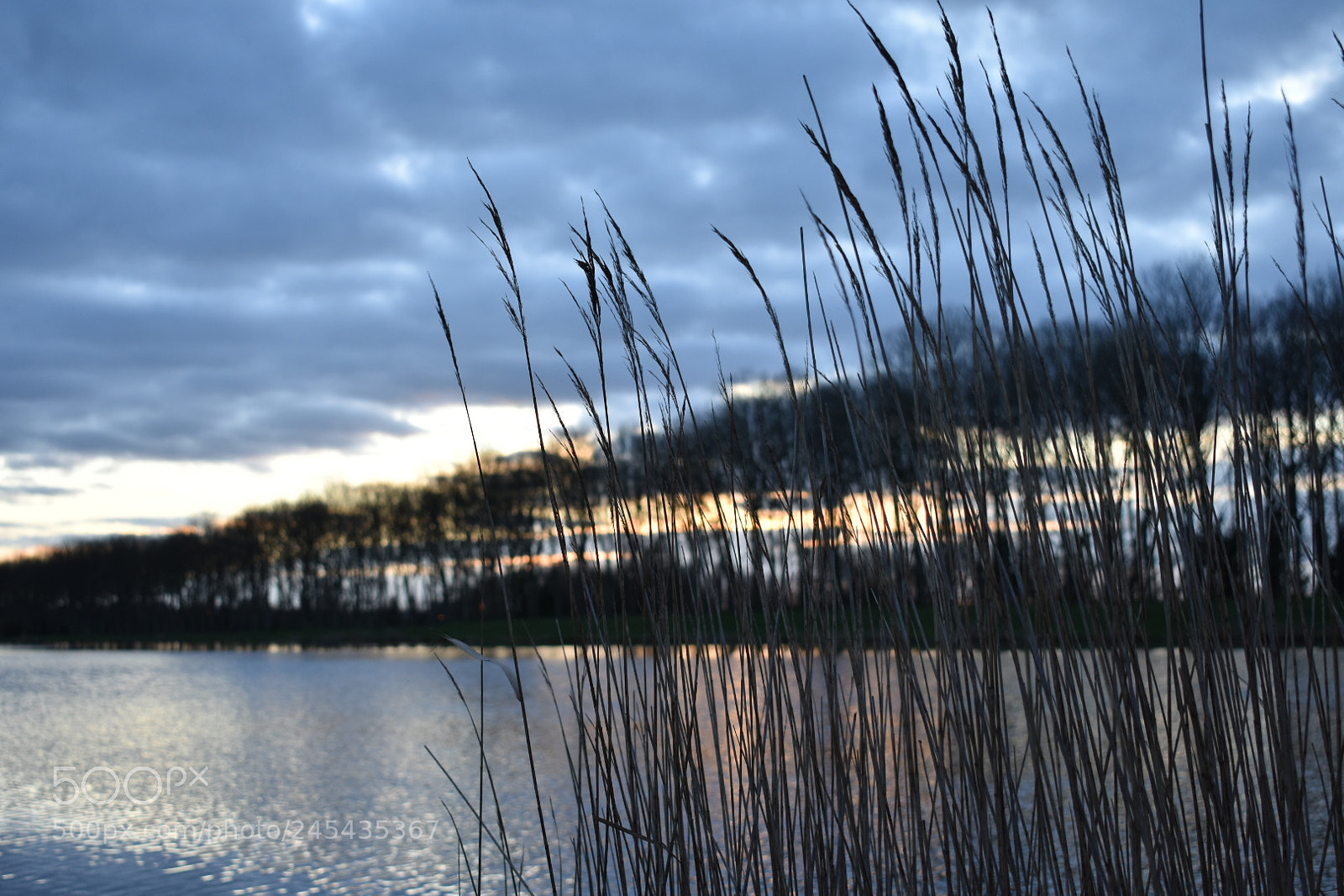 Nikon D3400 sample photo. The end of the photography